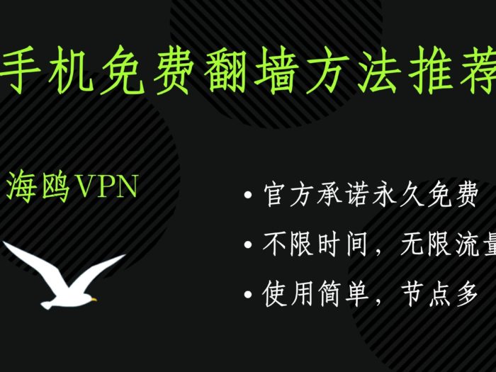 海鸥vpn