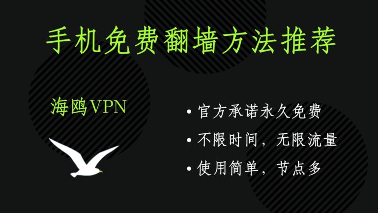 海鸥vpn